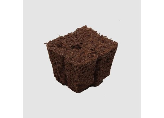 1x Eazy Plug® Sämlings- und Stecklingsblock