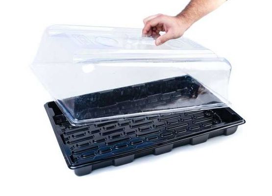 Propagator  39 x 59 x 21 cm