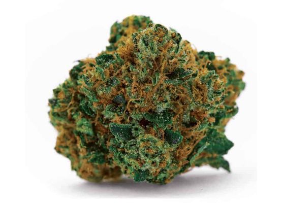 Growheads Grapefruit (1)