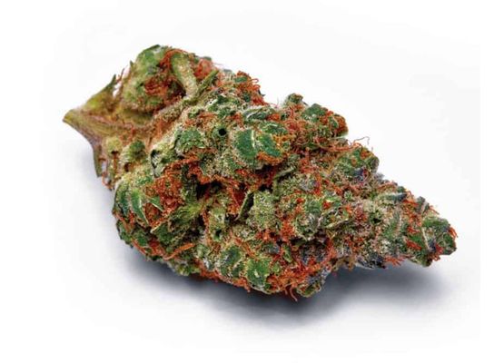 Growheads Caramel King (1)