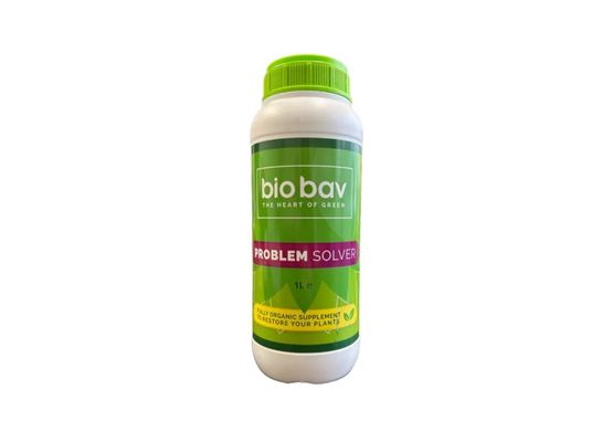 Bio Bav Problem Solver 1,0l