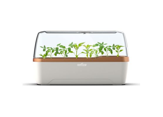 Romberg Gewächshaus BoQube L Plus Creme Kupfer