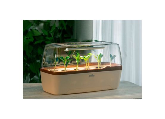 Romberg Gewächshaus LED BoQube L Plus Creme Kupfer