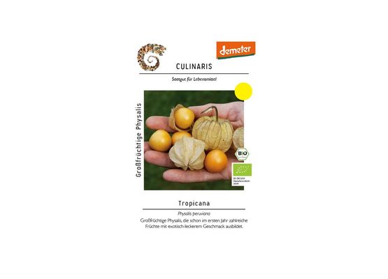 Großfrüchtige Physalis Tropicana
