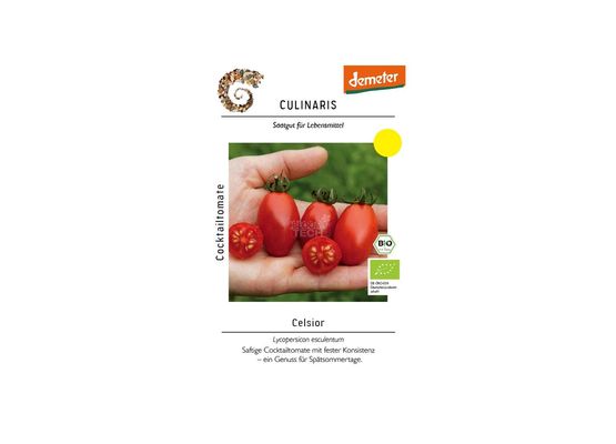 Cocktailtomate Celsior