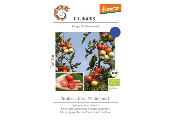 Freilandtomate Resibella