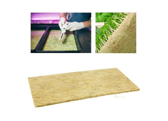 Grodan Cress Plate Microgreens