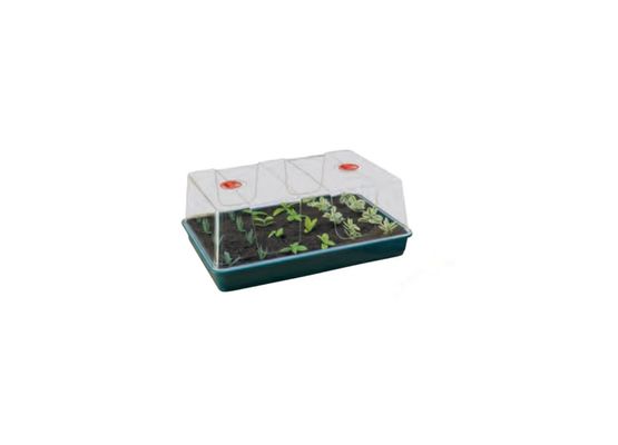 Garland XL High Dome Propagator Green, 58x40x22.5 cm)