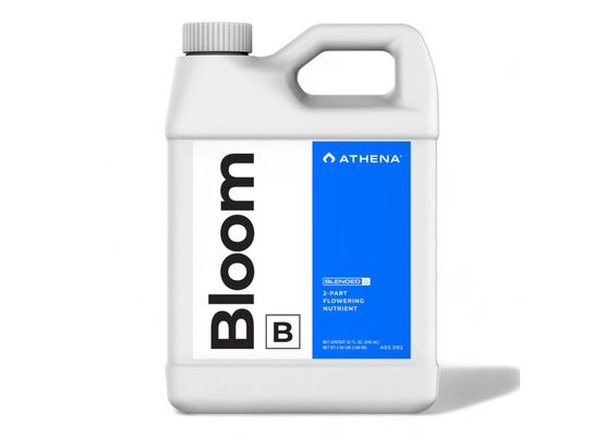 Athena Bloom B 0,94l
