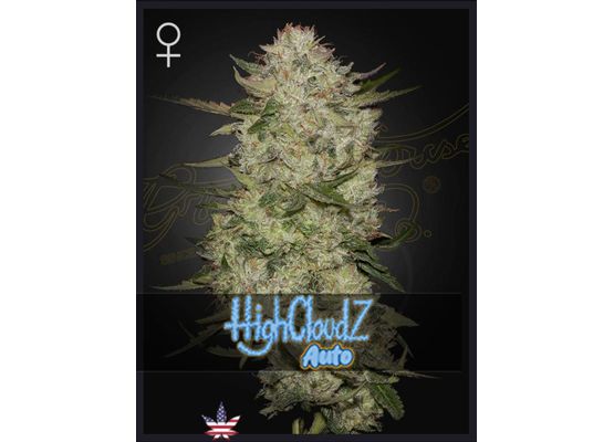 Green House Seeds Highcloudz Auto (3)
