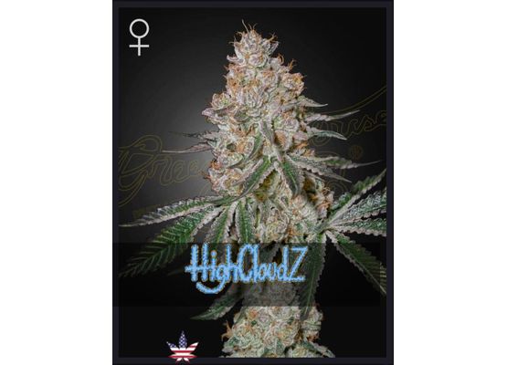Green House Seeds Highcloudz (3)