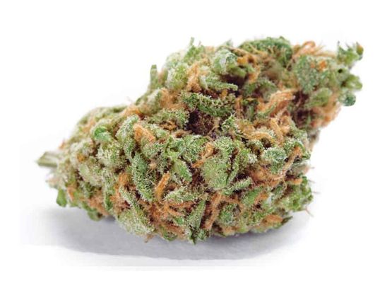 Growheads Auto Amnesia Haze (1)