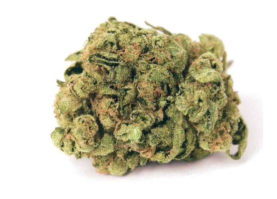 Growheads Auto Gorilla Glue (1)