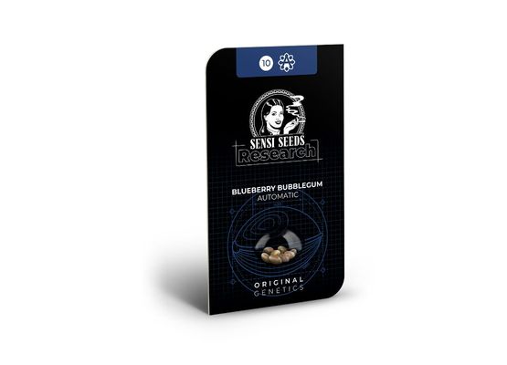 Sensi Seeds - Blueberry Bubblegum Auto (3)