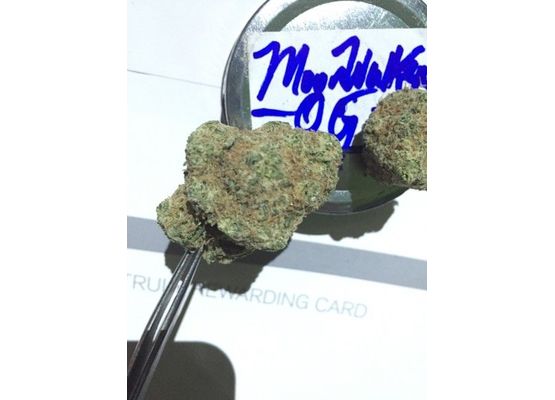Steckling - Moonwalker