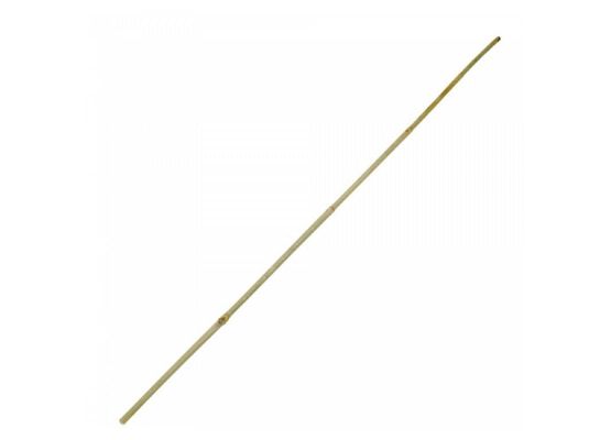 PLANT!T Bambusstock 150 cm