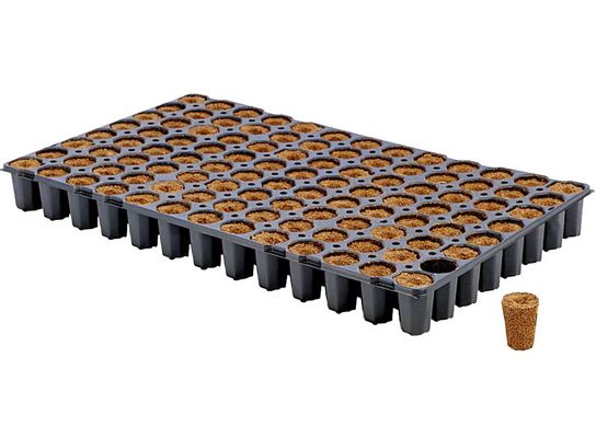 Eazy Plug CT104CF, Stecklingsblöcke, Tray zu je 104 Blöcke