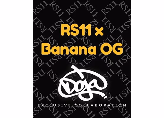 Barneys Farm - RS11 X BANANA OG (1)