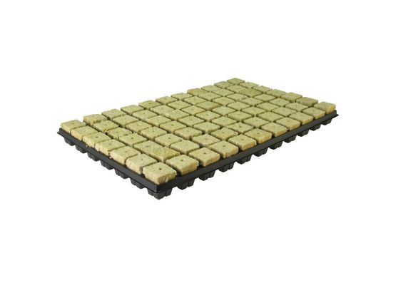 Grodan Stecklingtablett 77Stk.
