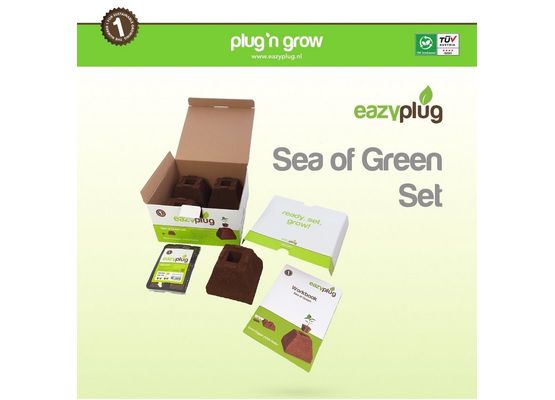 Eazy Plug Sea of Green Set