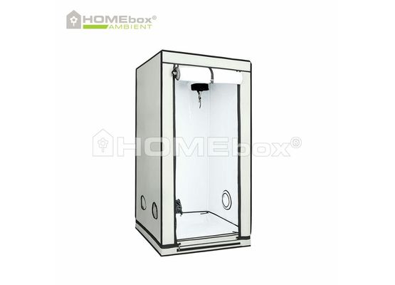 HOMEbox Ambient Q80+ Maße: 80x80x180cm