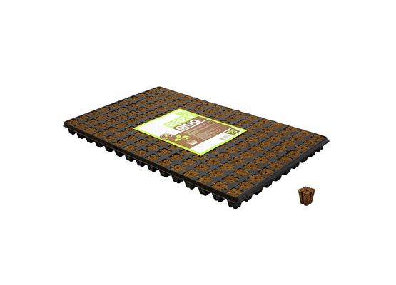 Eazy Plug®, Stecklingsblöcke, Tray à 150 Stk., 52x31x3cm