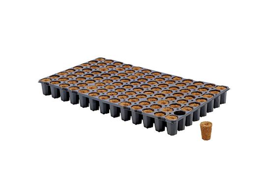 Eazy Plug Stecklingstray 104 C rund groß