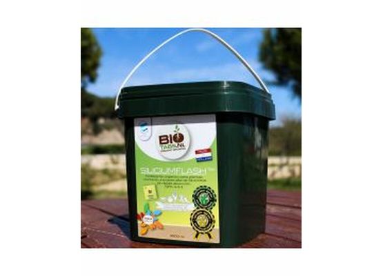 BioTabs Silicium Flash 2,5l