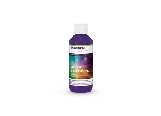 Plagron Green Sensation 100ml