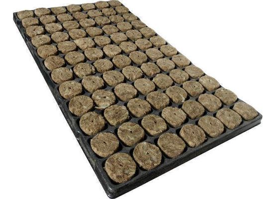 Speedgrow Green 84er Tray Ø38mm / 40mm