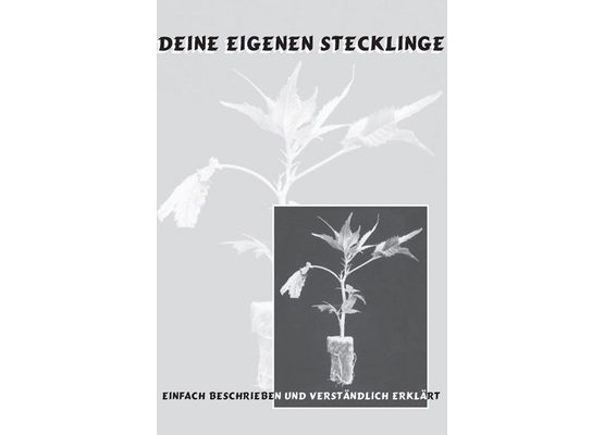 Deine eigenen Stecklinge
