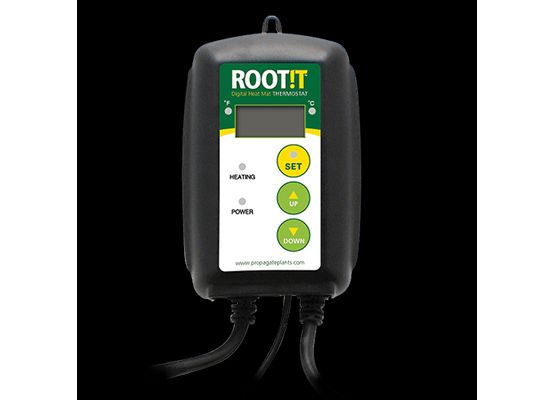 ROOT!T Thermostat für Heizmatten, EU Schuko max. 1000W