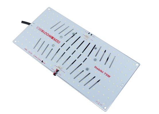 BloomStar Habibi Board 5000K 75W SET