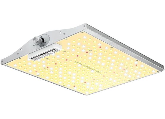 Viparspectra XS1000