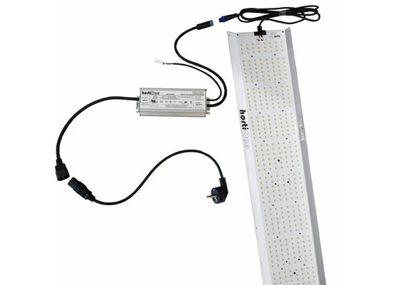 2x hortiONE 600 LED, 220W = 440W