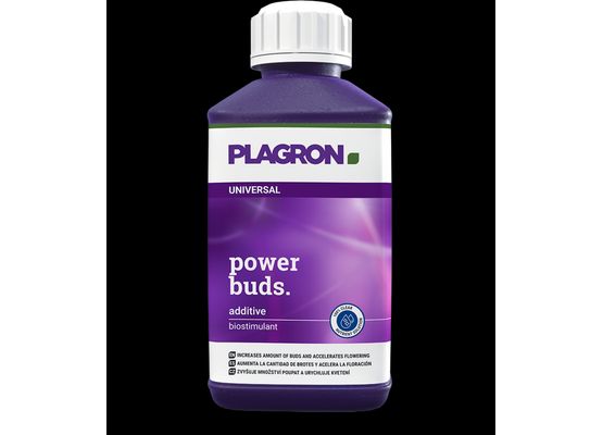 Plagron Power Buds 100ml