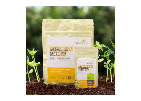 Tyroler Glückspilze Mykorrhiza Soluble 30g