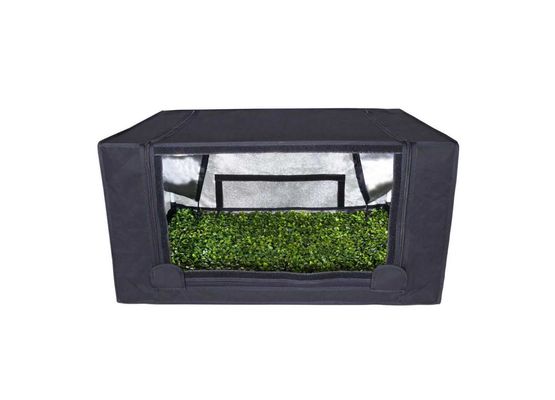 Anzuchtbox Propagator 80x60x40cm Garden HighPro