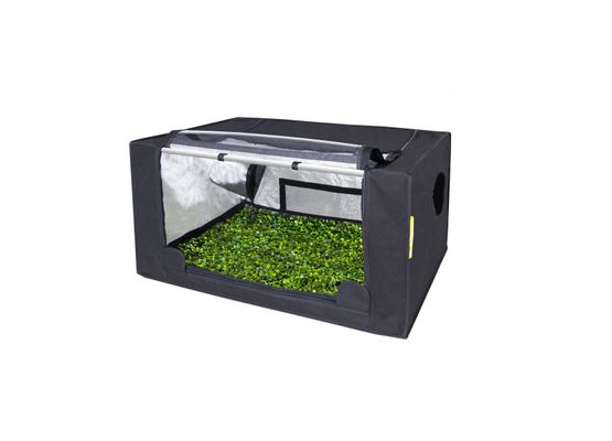 GHP Probox Propagator M 80x60x40cm
