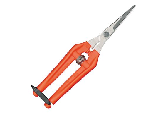 Chikamasa TP-530S Gartenschere rostfrei - made in Japan
