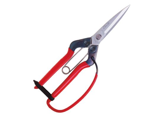 Chikamasa T-710GDX Gartenschere verchromt - rostfreier Stahl - made in Japan