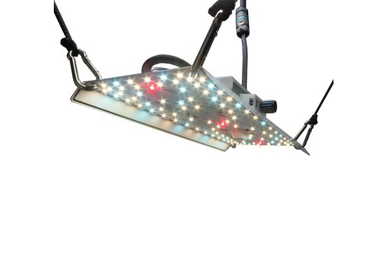 BloomStar FLUXshield Habibi 150 - 50W LED Vollspektrum