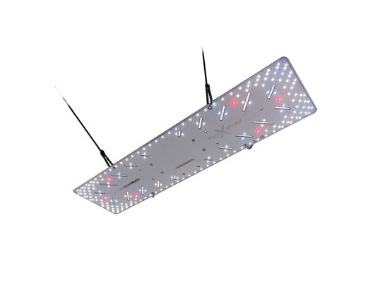 BloomStar FLUXshield 300L - 100W Vollspektrum LED