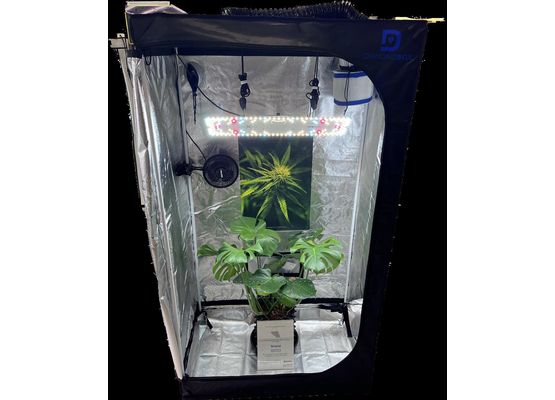 100 x 60 x 180cm Komplettset mit 100W LED