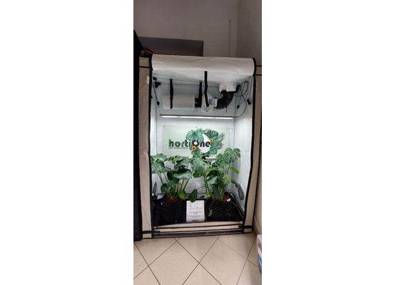 Homebox R120S + 220W LED HortiOne Set