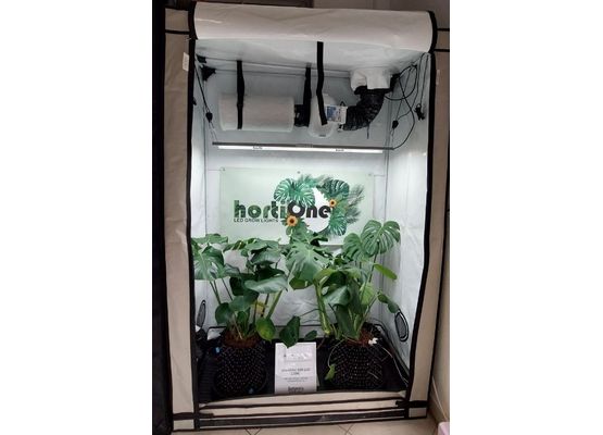 Homebox 120x60x180cm + HortiOne 600 LED 220W + Prima Klima 125mm Klimagesteuerte Abluft mit Filter