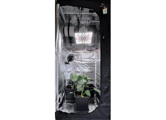 80x80 cm Growzelt 100W LED Komplett-Set