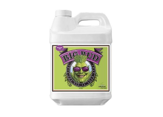 Advanced Nutrients Big Bud Liquid 1,0l