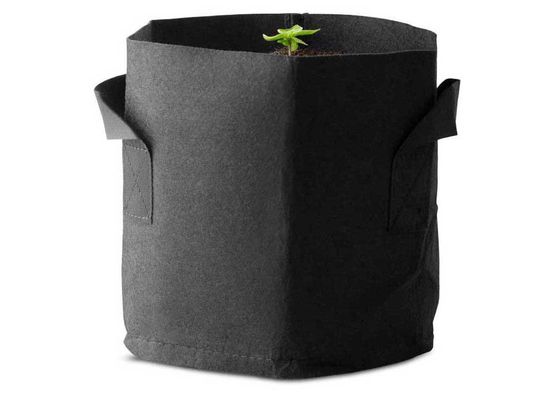 Caluma PotPots 19 Liter