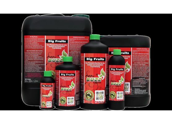 Green Buzz Big Fruits - Standard 500ml